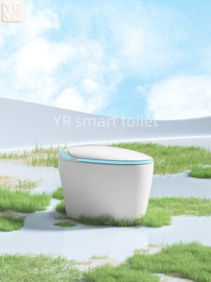 egg shape smart toilet egg shape smart toilet