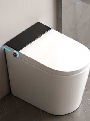 Compact Smart Toilet with Auto Lid Opening, Voice Control & Built-in Water Tank