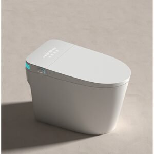 Healing Smart Toilet with Infrared Warm Light, Voice Control & Built-in Foam Shield